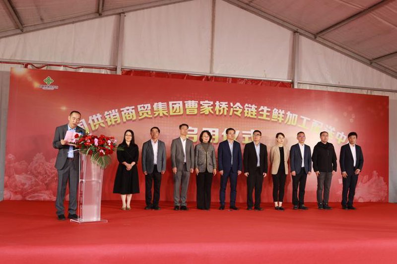 天欣商贸与未来市场趋势